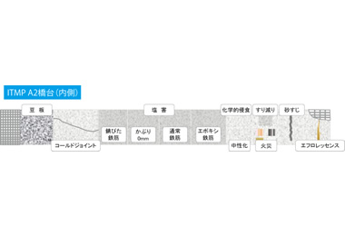 ITMP(コンクリートの初期欠陥モデル）